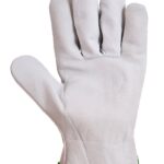 Oves Driver Glove White - A260 Palm 